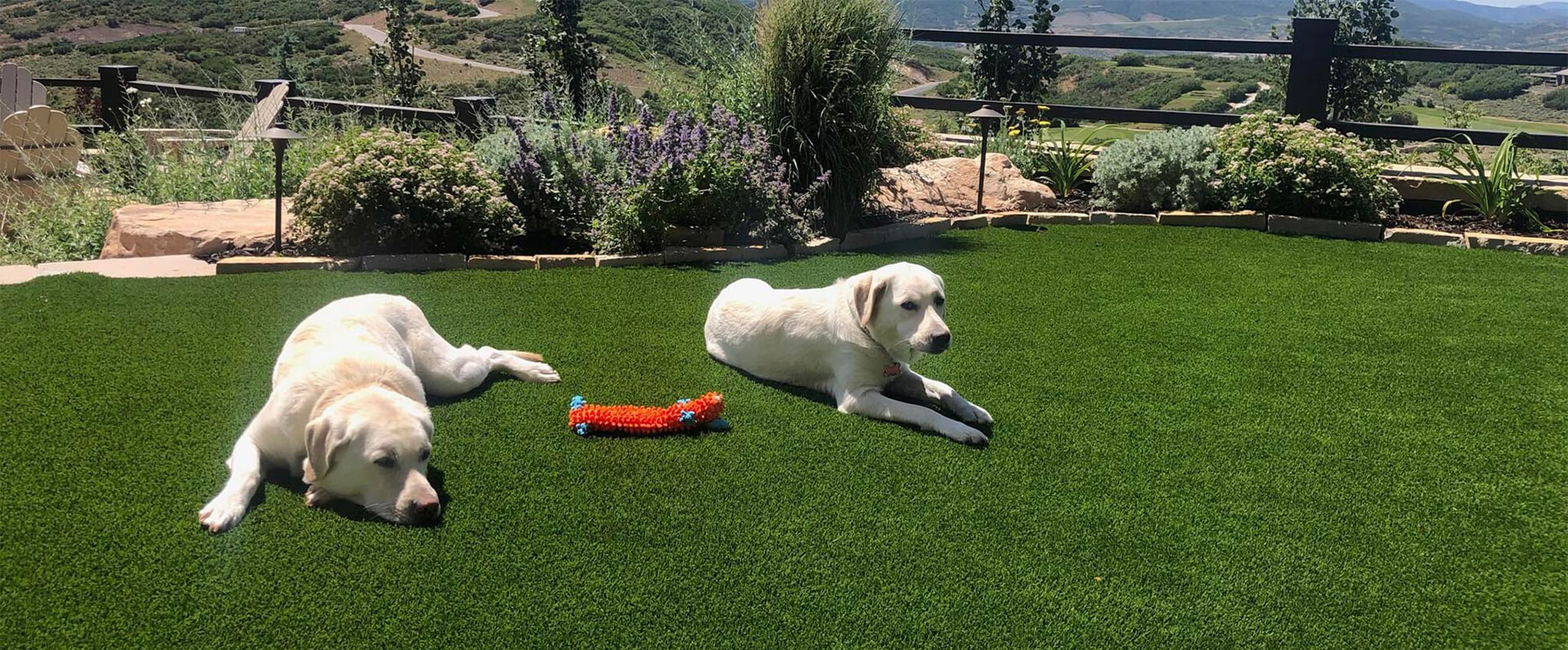 Synthetic Turf Installation